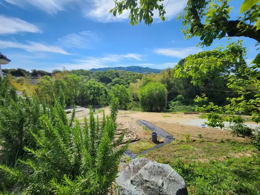 ファームの風景
