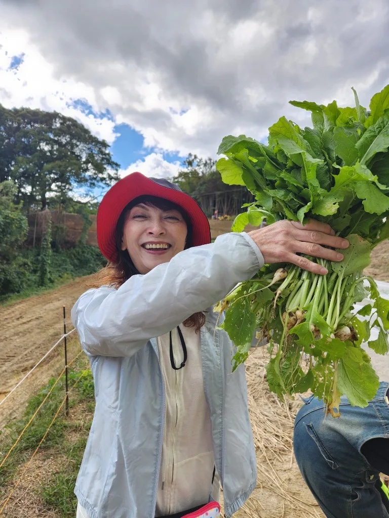 農業体験で野菜を収穫する参加者